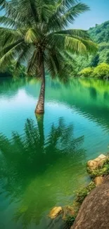 Tropical lake with palm tree and reflections.