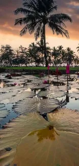 Calm tropical sunset with palm trees reflecting on water.