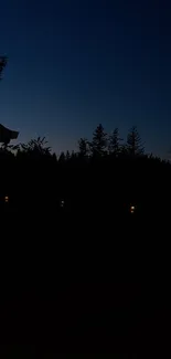 Twilight forest with silhouetted trees against a dark blue sky.