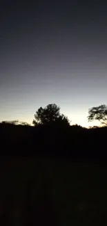 Mobile wallpaper of trees silhouetted against twilight sky.