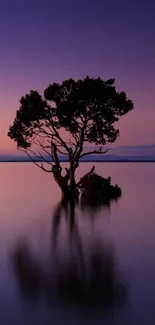 A lone tree silhouette at twilight on calm water reflecting a purple sky.