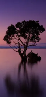 Purple sunset with silhouetted tree reflecting on calm water.