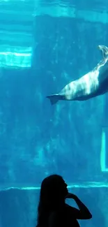 A dolphin gracefully swims underwater in vibrant blue waters.