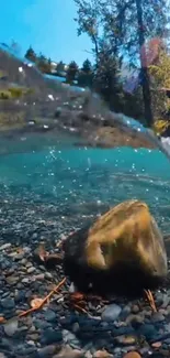 Underwater view of a tranquil river with clear blue water and forest backdrop.