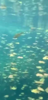 Serene underwater scene with leaves floating.