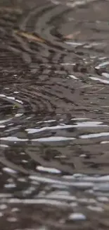 Calm water ripples creating a soothing mobile wallpaper.