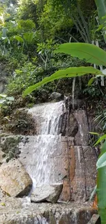 Waterfall amidst lush green forest landscape