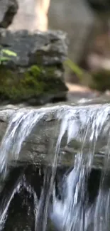 Soothing waterfall cascading over mossy rocks in a serene setting.