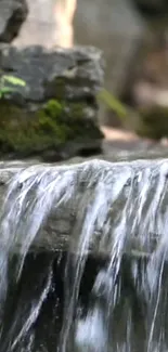 Tranquil waterfall cascading over rocks with lush mossy background.