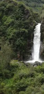 A stunning waterfall in a lush green forest setting, perfect for mobile wallpaper.