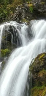 Serene waterfall mobile wallpaper with natural beauty and greenery.