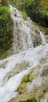 Scenic waterfall with lush greenery