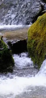 Tranquil waterfall with lush green mossy rocks and flowing water.