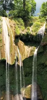 Lush waterfall cascading in a green forest