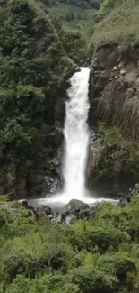 Tranquil waterfall surrounded by lush greenery on a smartphone wallpaper.