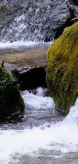 Serene waterfall stream with lush green moss and flowing water.