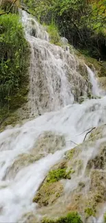 A serene waterfall cascading through lush green forest landscape.