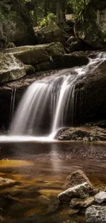 Serene forest waterfall mobile wallpaper.