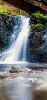 Tranquil waterfall in lush green forest, perfect for mobile wallpaper.