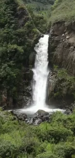 Lush green landscape with a cascading waterfall.