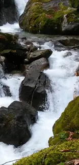 Serene waterfall with moss-covered rocks.