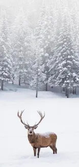 Majestic deer standing in snowy forest landscape with trees.