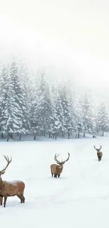 Snow-covered landscape with deer and pine trees in winter.