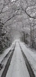 Snow-covered forest path with overhanging branches in winter.