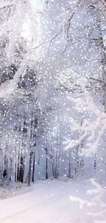 A tranquil winter forest with snow-covered trees and falling snowflakes.