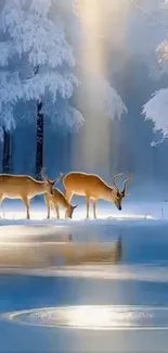 Deer in a snowy forest with sunlight streaming down.