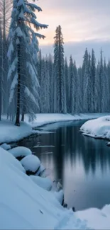 Snowy forest with a calm stream and trees reflecting water at dusk.