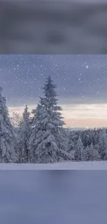 Snowy winter forest with falling snowflakes in a serene landscape.