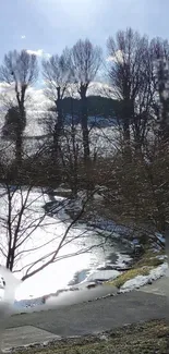 Serene winter landscape with lake and trees.