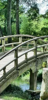 Serene wooden bridge over a forest stream, surrounded by lush greenery.