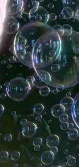 Transparent bubbles on a dark background wallpaper.