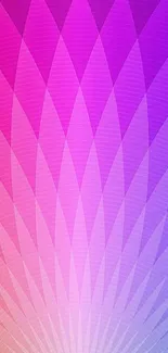 Transport Pink Purple Live Wallpaper