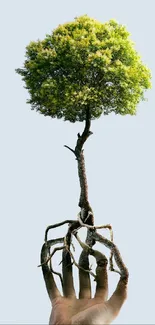 Hand holding a tree with roots, set against a light gray background.