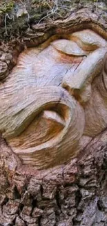 A carved face emerging from a tree in a natural setting.