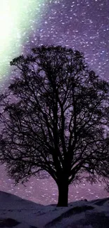 Silhouette of a tree with northern lights in a purple night sky.