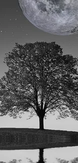 Silhouetted tree against a large moonlit sky, reflected in the water.