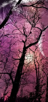 Tree Sky Purple Live Wallpaper