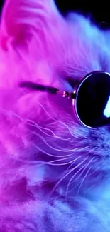 Cool cat with sunglasses in neon pink light.