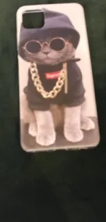 Trendy cat in hoodie phone case with sunglasses.