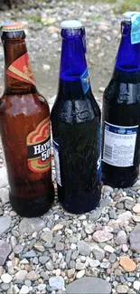 Three glass bottles standing on a gravel path outdoors.