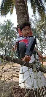 Child enjoying a tropical setting among tall palm trees.