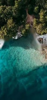 Aerial view of a tropical beach with turquoise waters and lush trees.