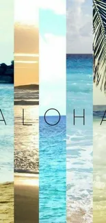 Aloha beach-themed mobile wallpaper with tropical ocean views.