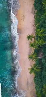 Aerial view of tropical beach with palm trees and turquoise ocean waves.