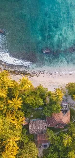 Tropical beach aerial view with ocean and greenery.