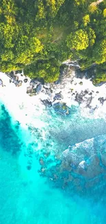 Aerial view of vibrant tropical beach with turquoise waters and lush green forest.